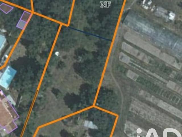 Terrain 1 235 m²