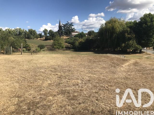 Terrain 1 237 m²