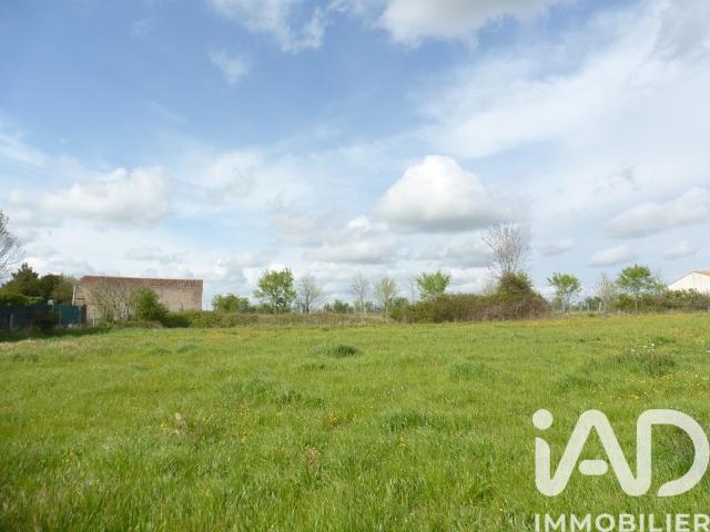 Terrain 1 230 m²