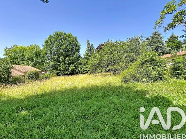 Terrain 1 230 m²