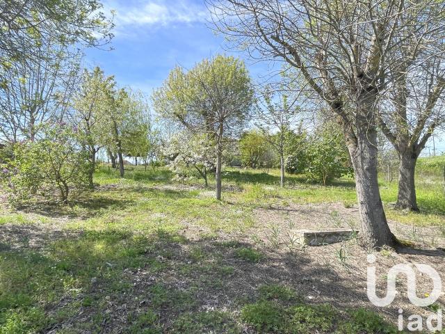 Terrain 1 230 m²