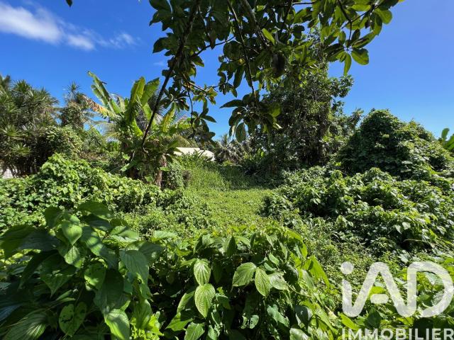Terrain 1 240 m²