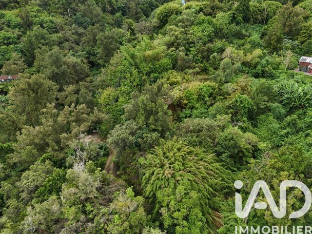 Terrain 1 250 m²