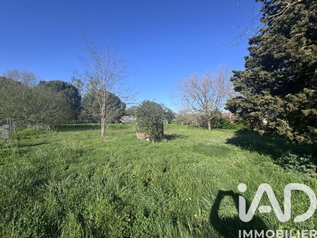 Terrain 1 250 m²