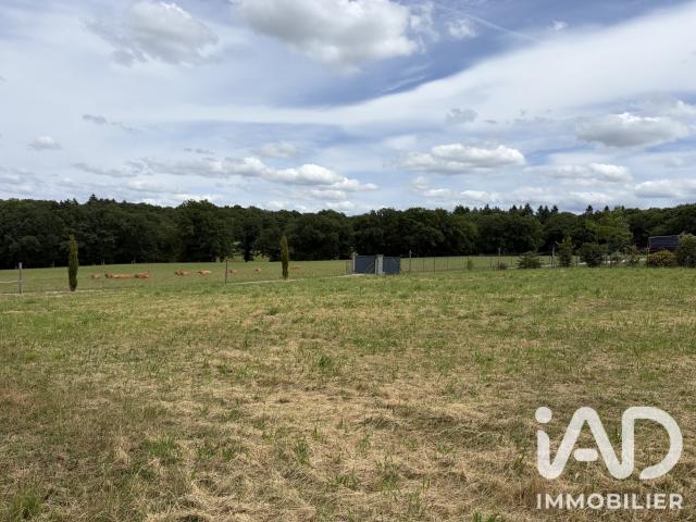 Terrain 1 252 m²