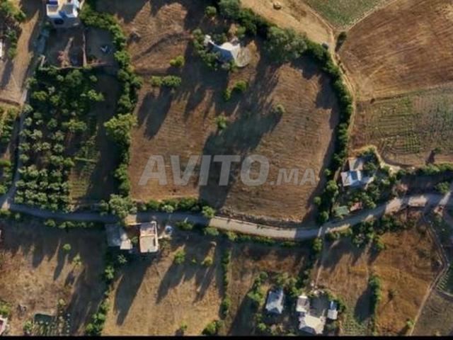 Terrain 1.2 ha projet touristique