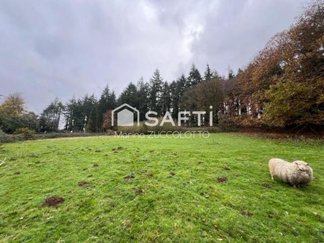 Terrain 1,2 hectare ave Etang