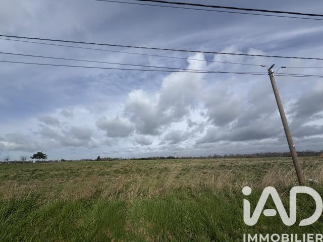 Terrain 1 300 m²