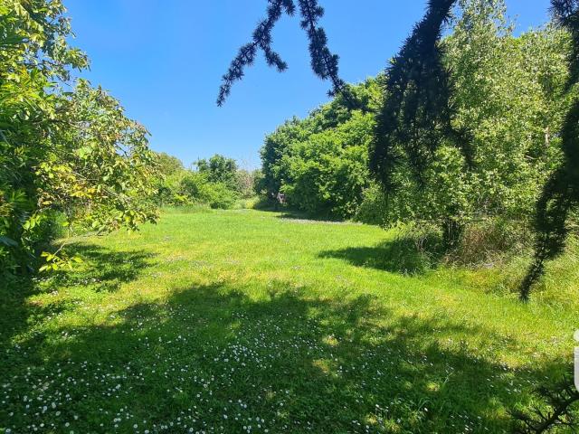 Terrain 1 303 m²