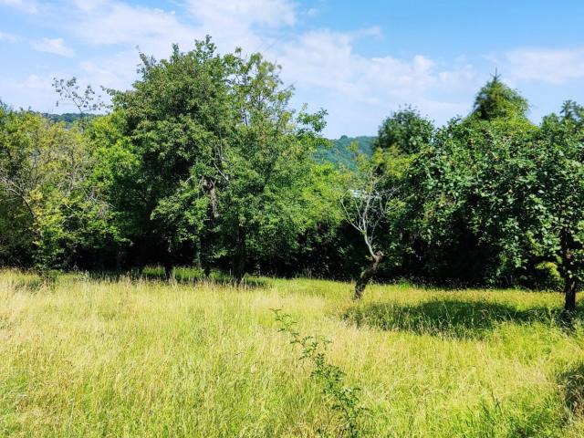 Terrain 1 354 m²