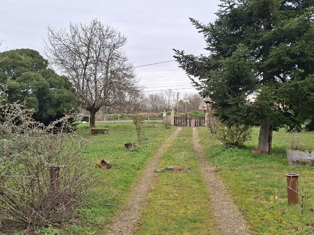 Terrain 1,37 hectare
