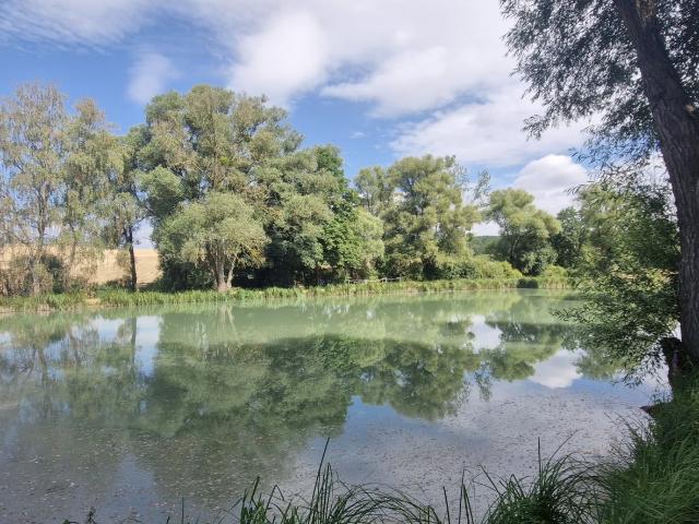 Terrain 1,38 hectare
