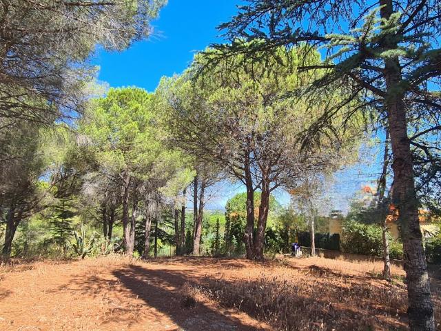 Terrain 1 430 m²