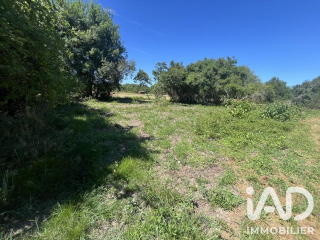 Terrain 1 445 m²