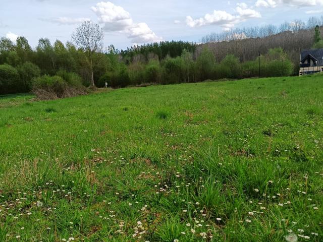 Terrain 1 459 m²
