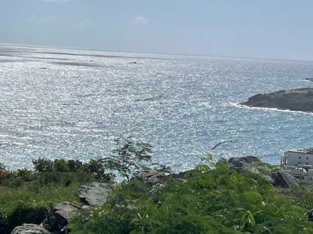 Terrain 1 467 m²
