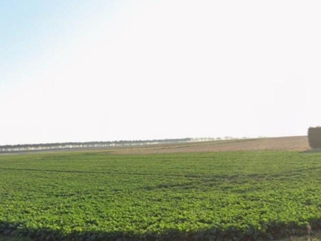 Terrain 1 476 m²