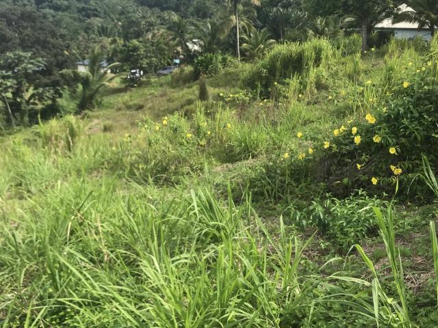 Terrain 1 501 m²