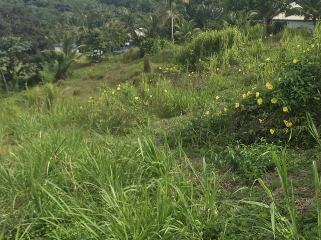 Terrain 1 502 m²