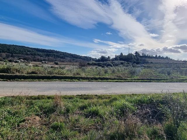 Terrain 1 546 m²