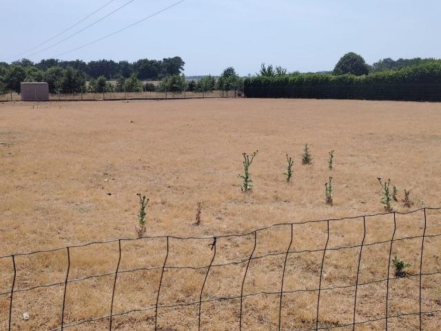 Terrain 1 579 m²