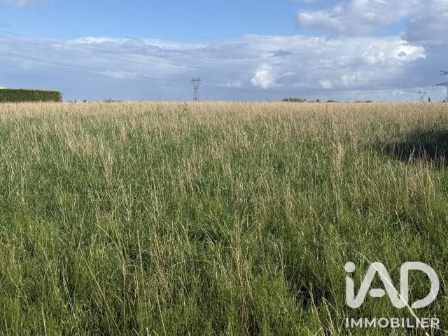 Terrain 1 584 m²