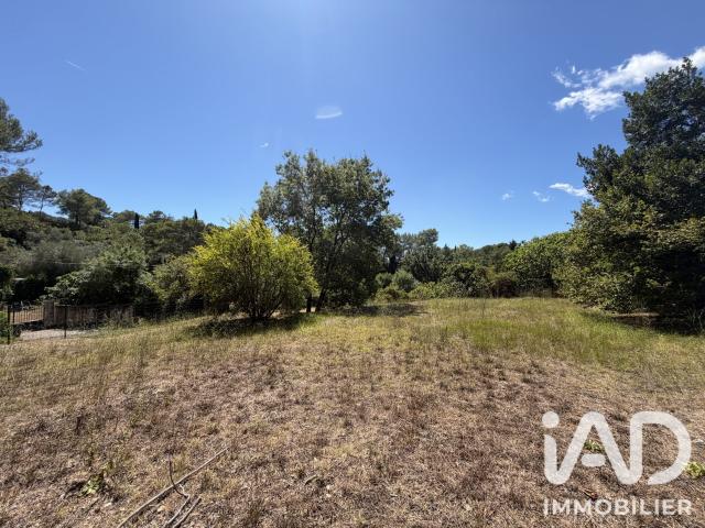 Terrain 1 650 m²