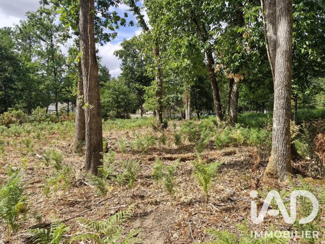 Terrain 1 661 m²