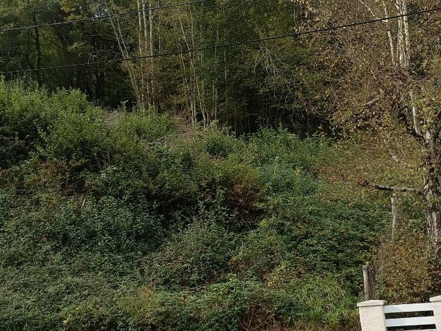 Terrain 1 700 m²