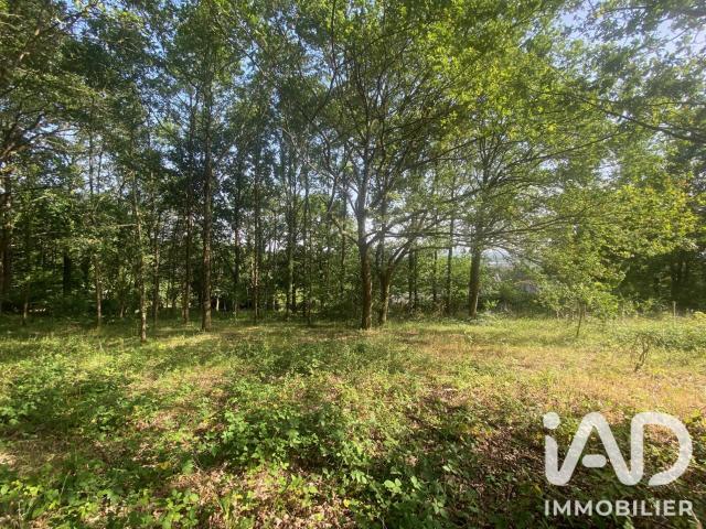 Terrain 1 800 m²