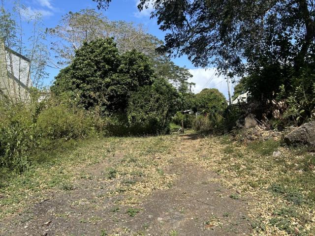 Terrain 1 835 m²