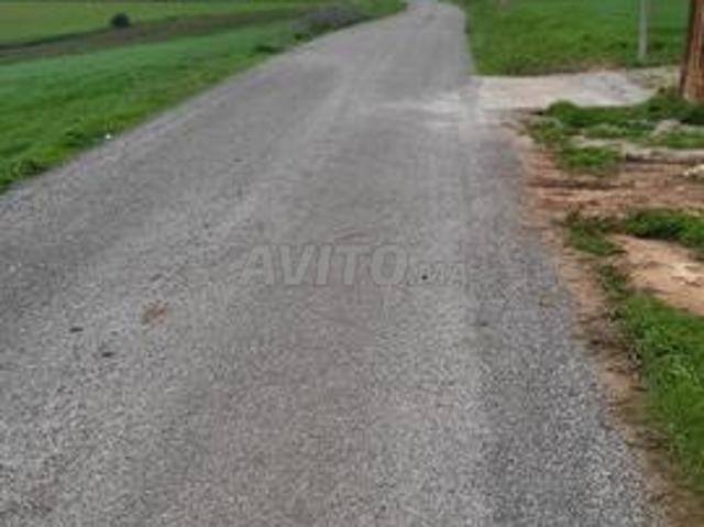 Terrain 1 ha 3196 m2 Fdalat Benslimane