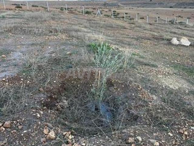 Terrain 1 hectare