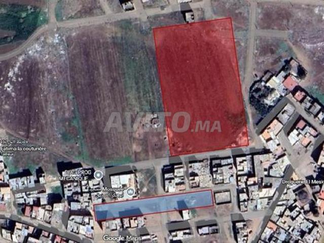 Terrain 1 Hectare