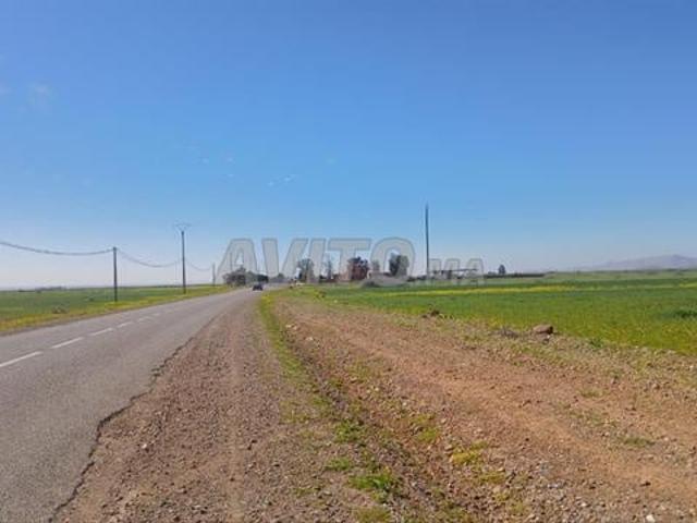Terrain 1 Hectare Titré à vendre – Bourrouss