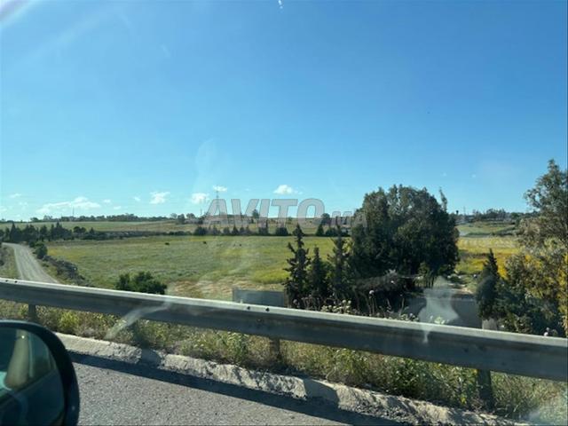 Terrain 1 hectare titré Oulad Azzouz