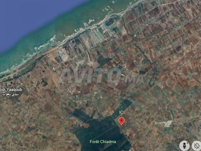 Terrain 1 hectare à vendre – Proche route et mer