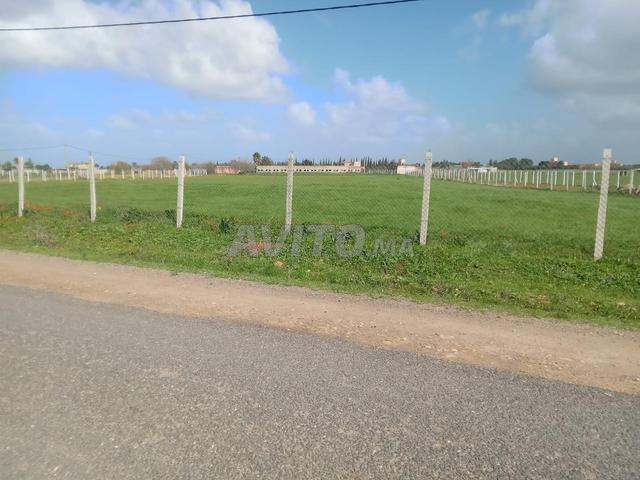 Terrain 1 hectare Ain Lagsab goudron