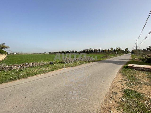 Terrain 1ha zone urbaine lot Labissa Bouskoura