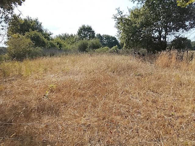 Terrain 2400 m2