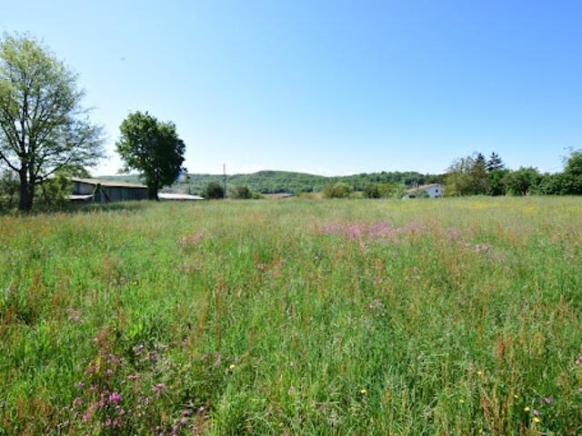 Terrain 2446 m2