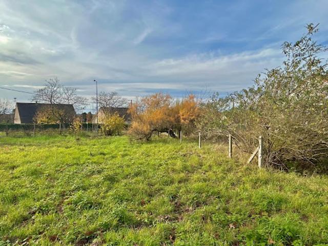 Terrain 2464 m2