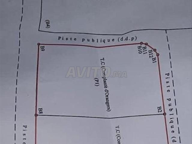 Terrain 2500 m2 à Eddir