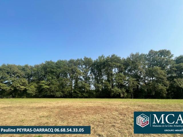 Terrain 2500 m2 vielle tursan