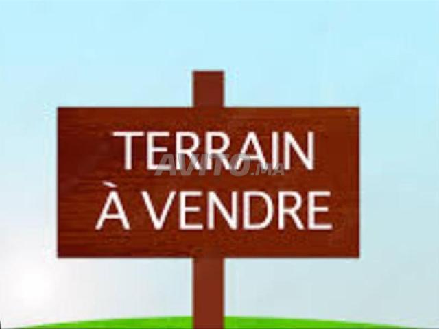 Terrain 250m centre kenitra