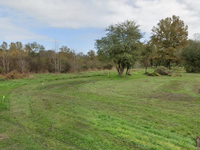 Terrain