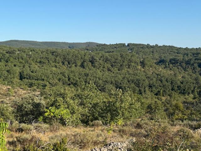 Terrain 2620 m2