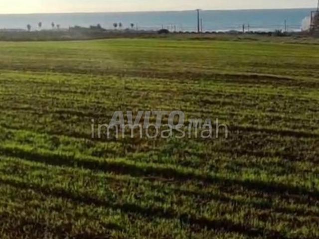 Terrain 26244 m2 vue mer pour investissement
