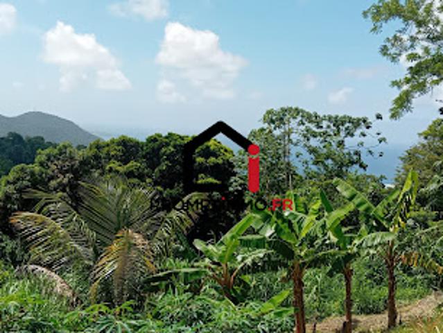 Terrain 2648 m2