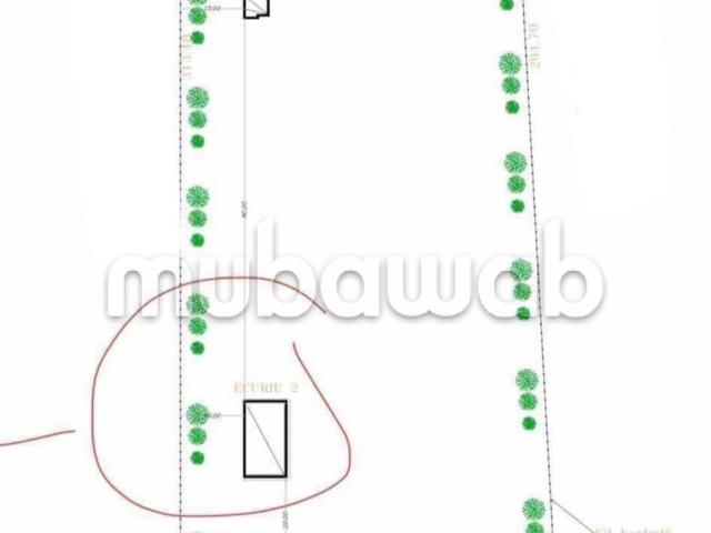 Terrain 26 440m² pour des hangars ouled ziane